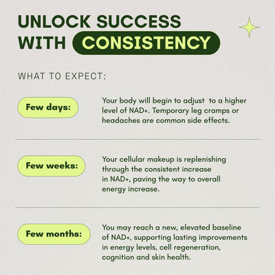 NAD + Supplement for Skin Aging Support Energy & Focus - 500 mg per serving - 60 Count - 30 Days Supply